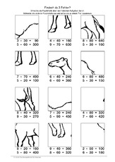 Dromedar2.pdf